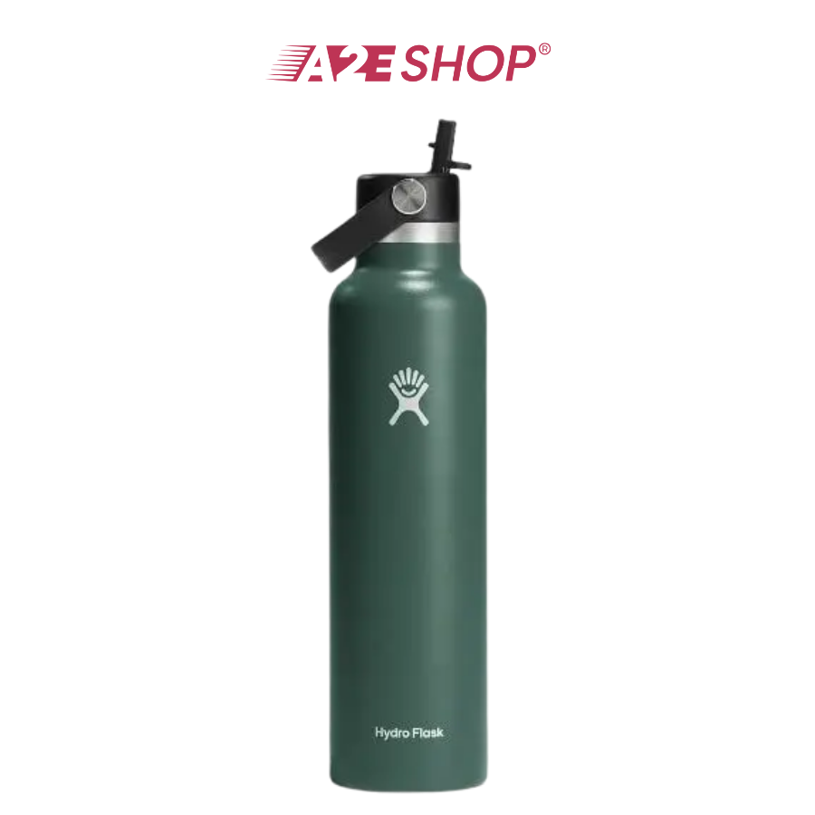 Hydro Flask Standard Bottle with Flex Straw Cap 21 OZ 621 ml (S2024)